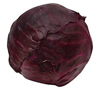 Cabbage Red Savoy