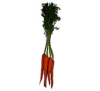 Carrots Bunch - Each