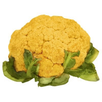 Cauliflower Orange Baby
