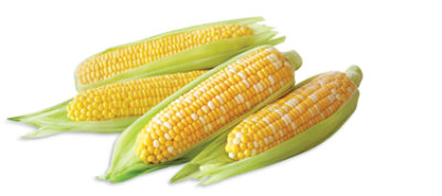 Corn Yellow Trimmed Pack 4 Count - Each