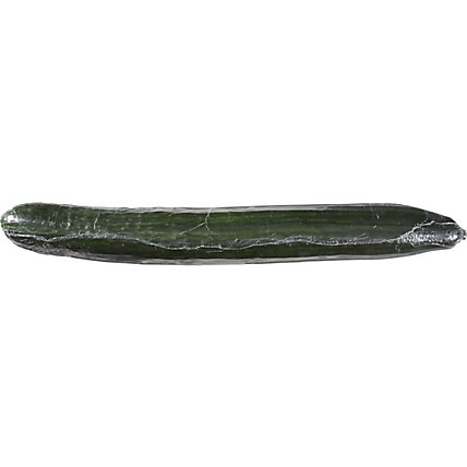Cucumber Long Hot House English - Image 3