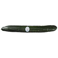 Cucumber Long Hot House English - Image 1