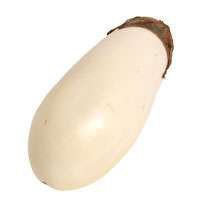 Eggplant Baby White