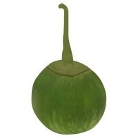 Thai Eggplant - Image 1