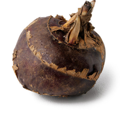 Waterchestnuts - 1 Lb - Image 1