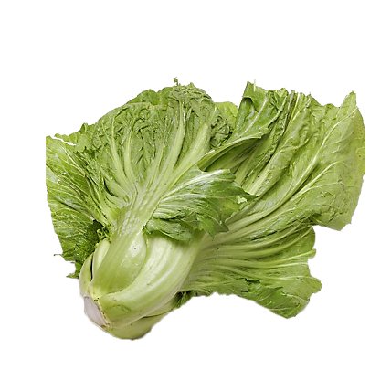 Cabbage Gai Choy Mustard - 1 Lb - Image 1