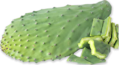 Cactus Leaves