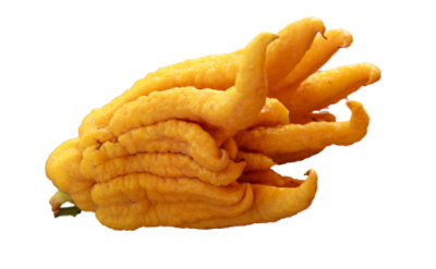 Buddha Hand