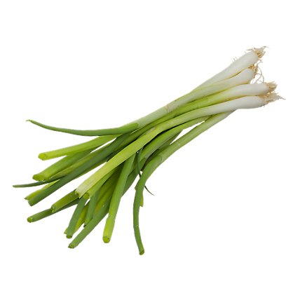 Green Onions - 1 Bunch - Image 1