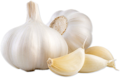 Garlic - Image 1