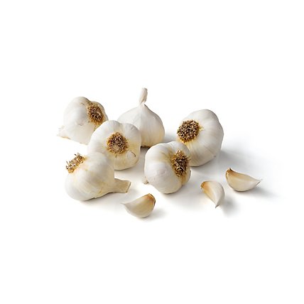 Garlic - Image 1