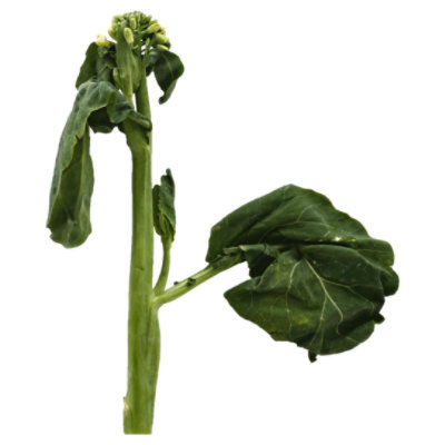 Gai Lan - 1 Lb - Image 1