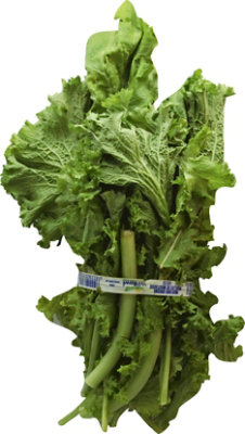 Curly Mustard Greens - 1 Bunch - Image 2