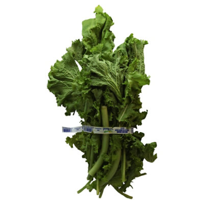 Curly Mustard Greens - 1 Bunch - Image 1