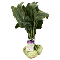 Kohlrabi Greens