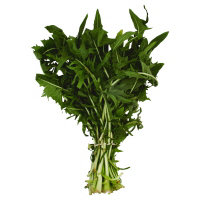 Dandelion Greens - Image 1