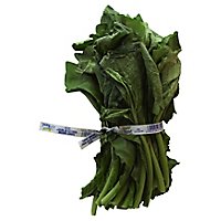 Turnip Greens - 1 Bunch - Image 1