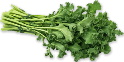 Rapini / Broccoli Rabe - Image 1