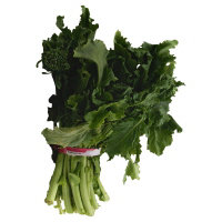 Rapini / Broccoli Rabe - Image 1