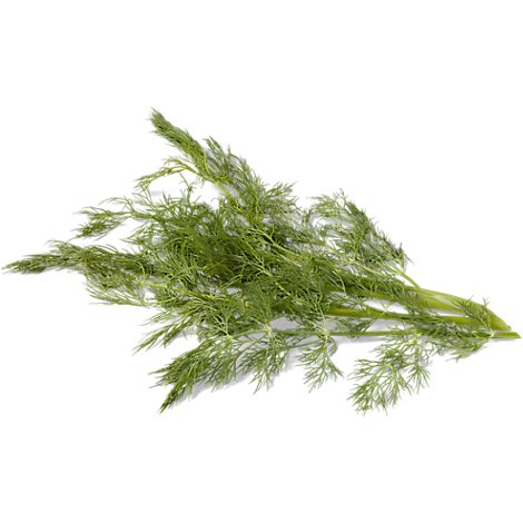 Dill Weed - 1 Bunch