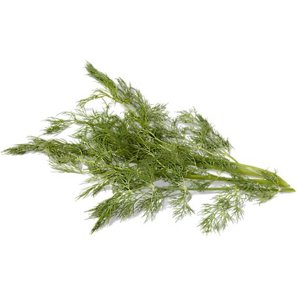 Dill Weed - 1 Bunch - Image 1