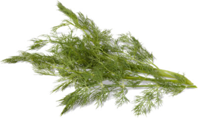 Dill Weed - 1 Bunch - Image 1