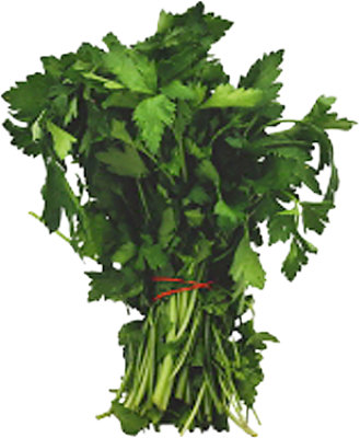 Italian Parsley 1 Bunch - Image 1