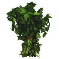 Italian Parsley - 1 Bunch - Image 1