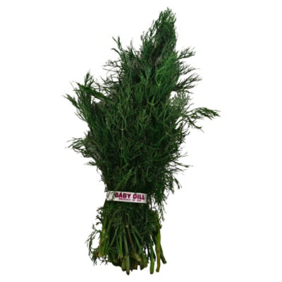 Baby Dill - 1 Bunch - Image 1