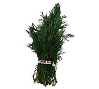 Baby Dill - 1 Bunch