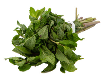 Mint Leaves at best price in Salem by CNJ Exports