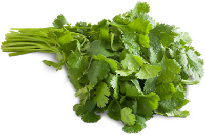 Cilantro - 1 Bunch