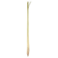 Lemon Grass - Image 1