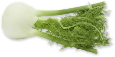 Fennel / Sweet Anise - Image 1