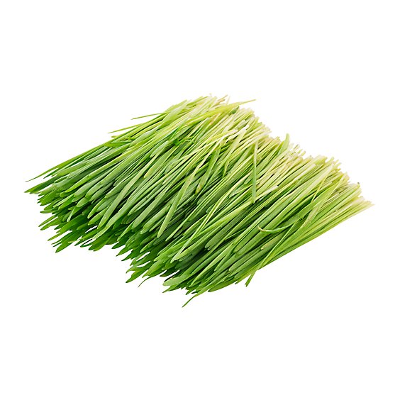 Wheat Grass Organic Prepacked - 4 Oz