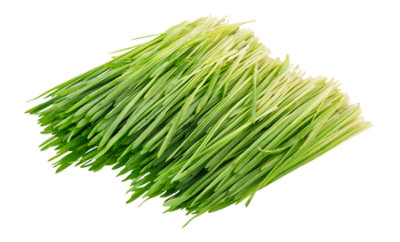 Wheat Grass Organic Prepacked - 4 Oz