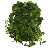 Watercress