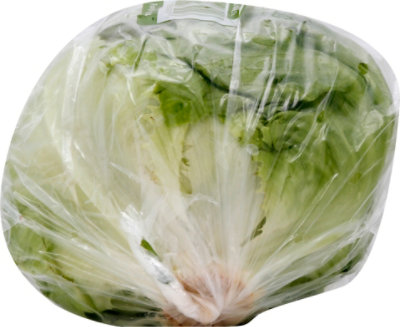 Iceberg Lettuce - Image 3