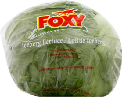 Iceberg Lettuce - Image 2