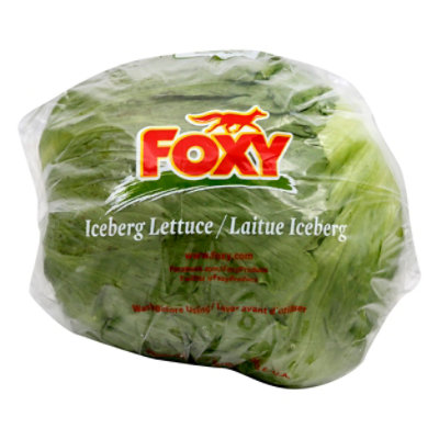 Iceberg Lettuce - Image 1