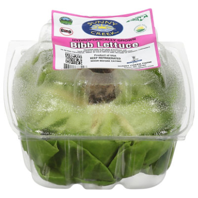 Petes Living Greens Lettuce Butter Hydroponic Prepacked - Each - Image 3