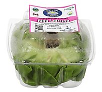 Petes Living Greens Lettuce Butter Hydroponic Prepacked - Each