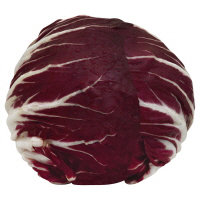 Radicchio Red Italian Lettuce - Image 1