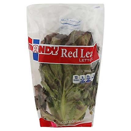 Red Leaf Lettuce - Image 3