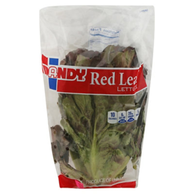 Red Leaf Lettuce - Image 1