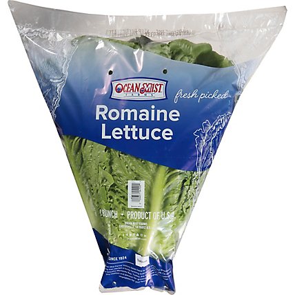 Romaine Lettuce - Image 4