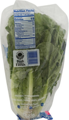 Romaine Lettuce - Image 5