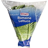 Romaine Lettuce - Image 2