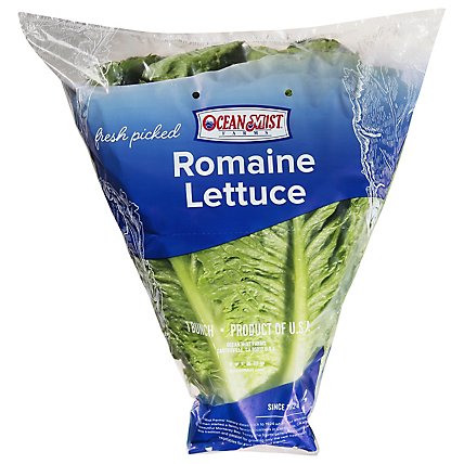 Romaine Lettuce - Image 1