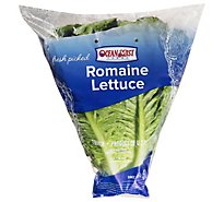 Romaine Lettuce